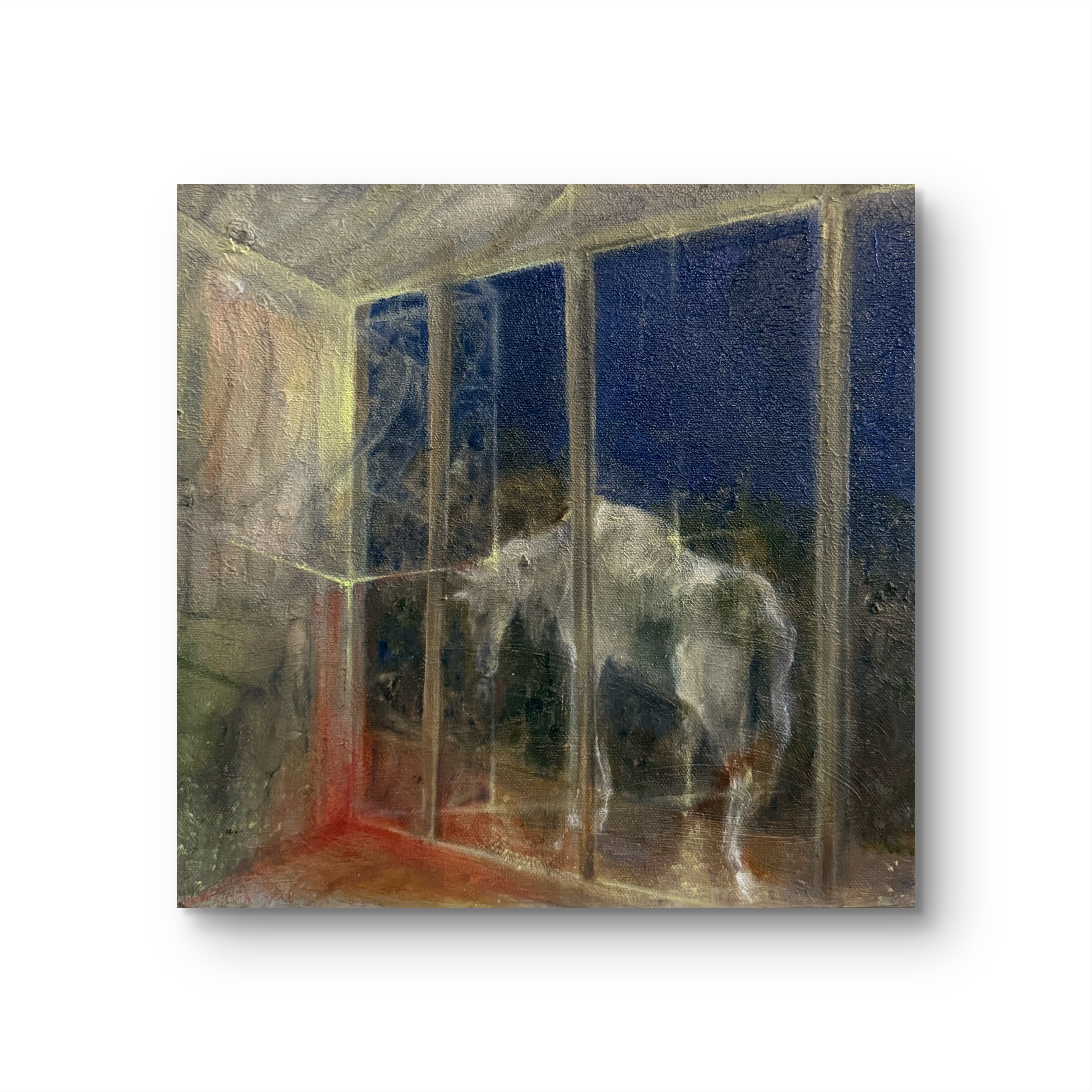 Window at Night